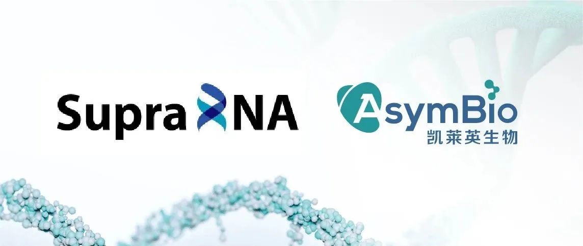 6384643789082693544884447.jpg 6384643789082693544884447.jpg