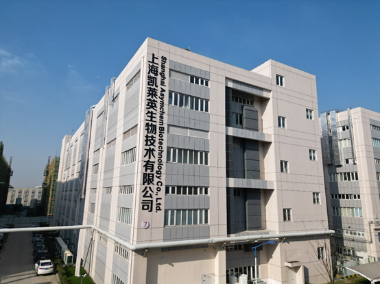 6384479616301098966626008.png 6384479616301098966626008.png